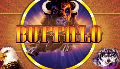 Buffalo Slot Review by PlaySafeCanada