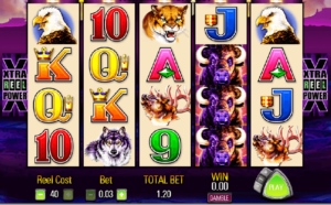 Gameplay overview Buffalo Slot in Canada